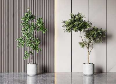 现代绿植盆栽组合3D模型下载